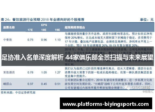 足协准入名单深度解析 44家俱乐部全景扫描与未来展望