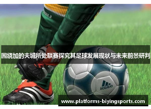 围绕加的夫城所处联赛探究其足球发展现状与未来前景研判