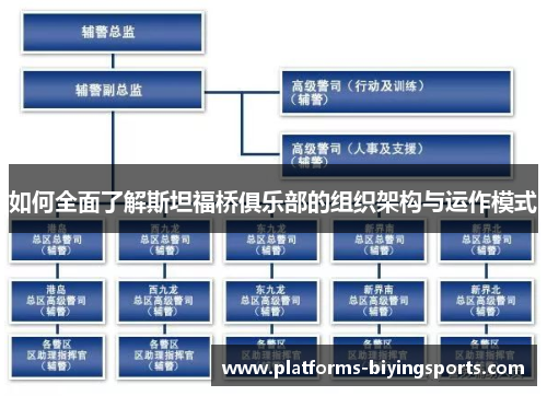 如何全面了解斯坦福桥俱乐部的组织架构与运作模式
