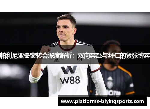 帕利尼亚冬窗转会深度解析：双向奔赴与拜仁的紧张博弈