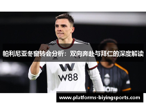 帕利尼亚冬窗转会分析：双向奔赴与拜仁的深度解读